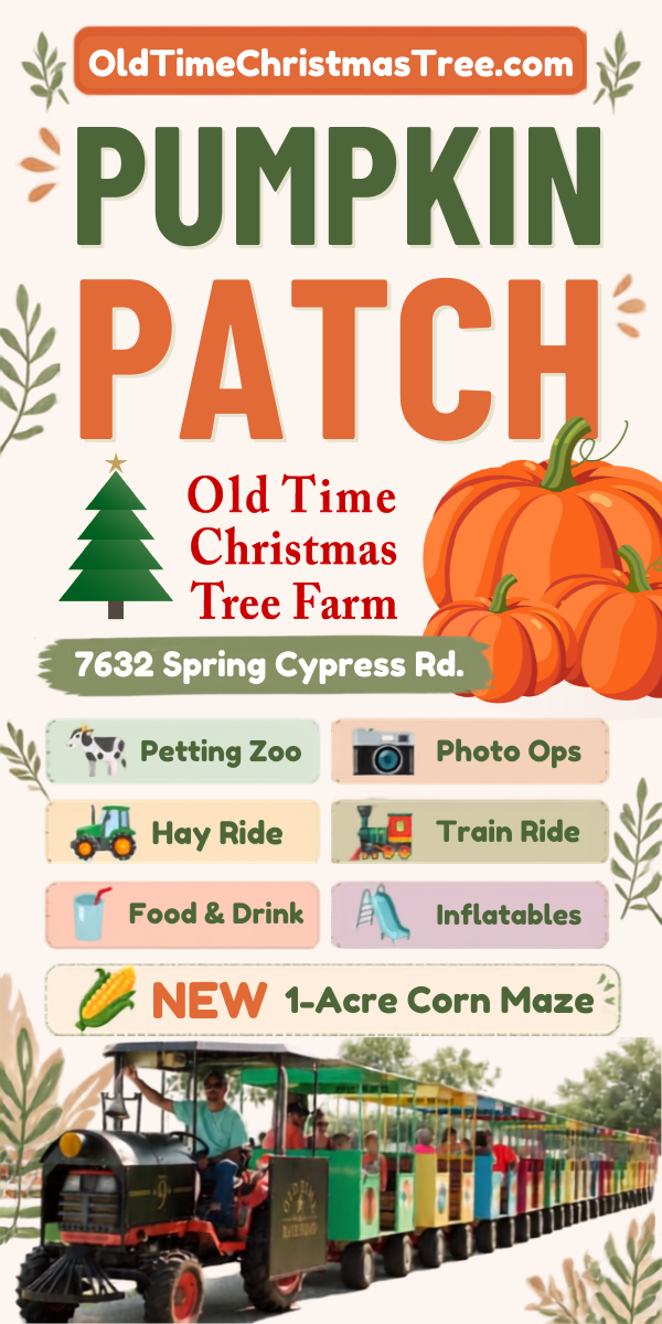 Find out more about Old Time Christmas Tree Farm