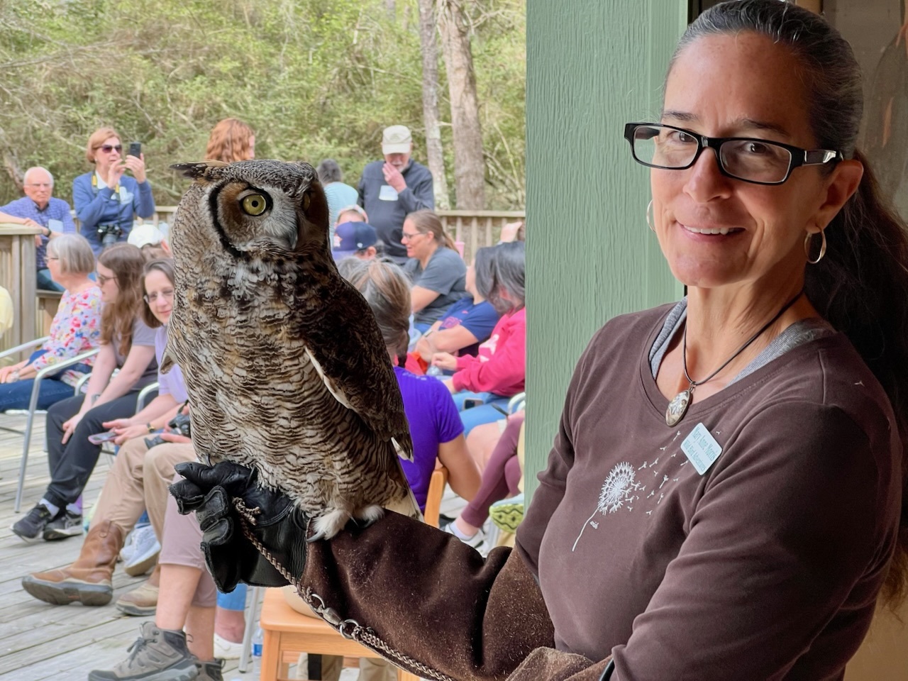 Meet the Raptors Up Close at Cinco Ranch Branch Library’s 'Wild Bird Adventures' Program