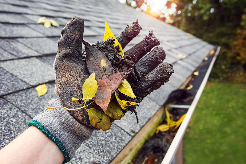 September Home Maintenance and Cozy Fall Upgrades