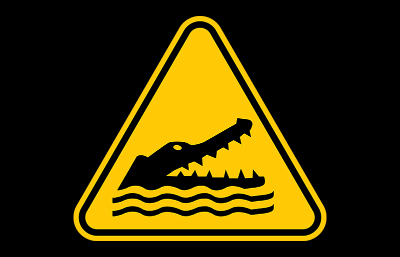 Alligator Spotted in Towne Lake: MUD 500 Takes Swift Action to Ensure Community Safety
