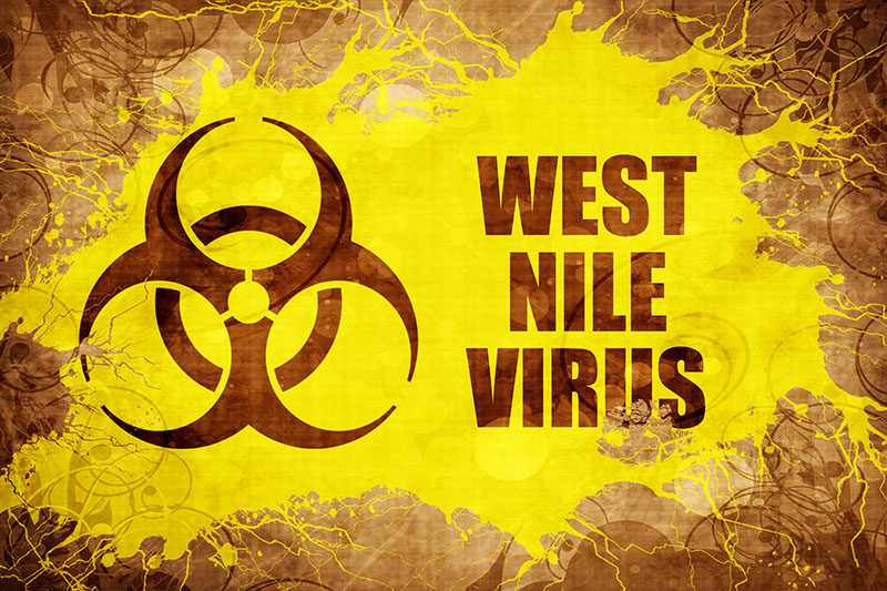 First West Nile Virus Mosquito Sample of 2025 Confirmed in Harris County: Evening Spray Operations Begin