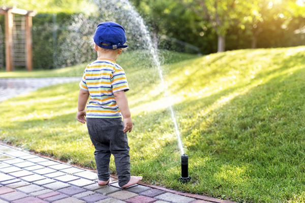 Don’t Let Summer Fry Your Yard: Smart Irrigation Tips for Greater Houston Homeowners