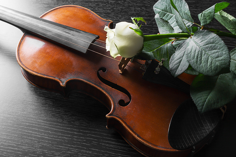 Cypress Creek FACE Announces New Instrument Library for Community