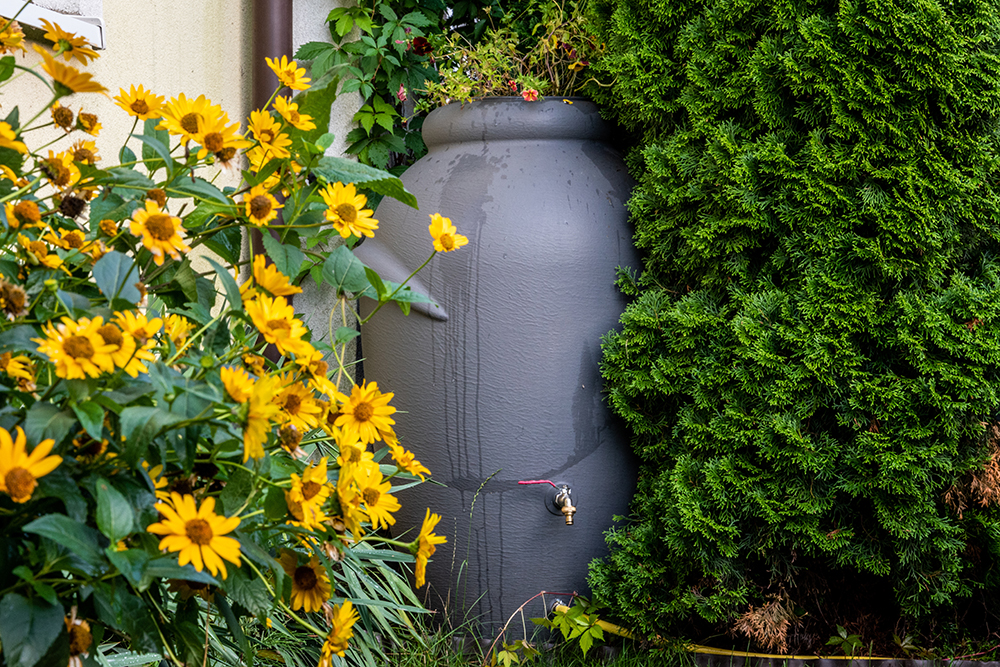 Rainwater Harvesting Offers Copper Village Homeowners a Simple Way to Conserve Water and Secure the Future