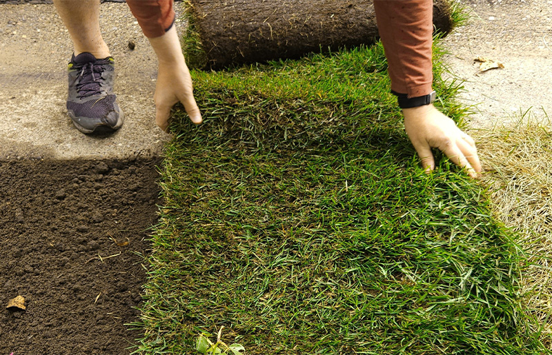 Is Your Lawn Ready for Winter? Here’s Why Now’s the Time to Resod and Fertilize in Oak Park Trails