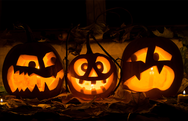 What to Do with Your Pumpkins After Halloween: Creative, Sustainable & Community-Friendly Ideas