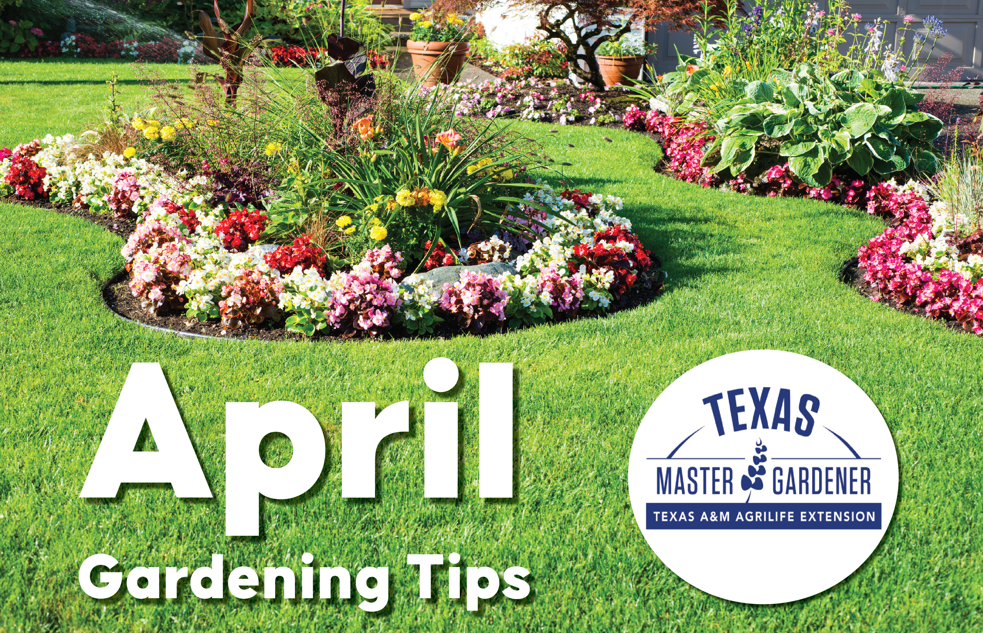 April Gardening Tasks for Central Texas from Texas A&M AgriLife Extension: What Sunset Oaks Residents Should Do Now