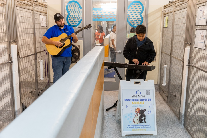 Wild Tunes Launches at Harris County Pets, Bringing Live Music — and a Human Touch — to Shelter Animals in Houston