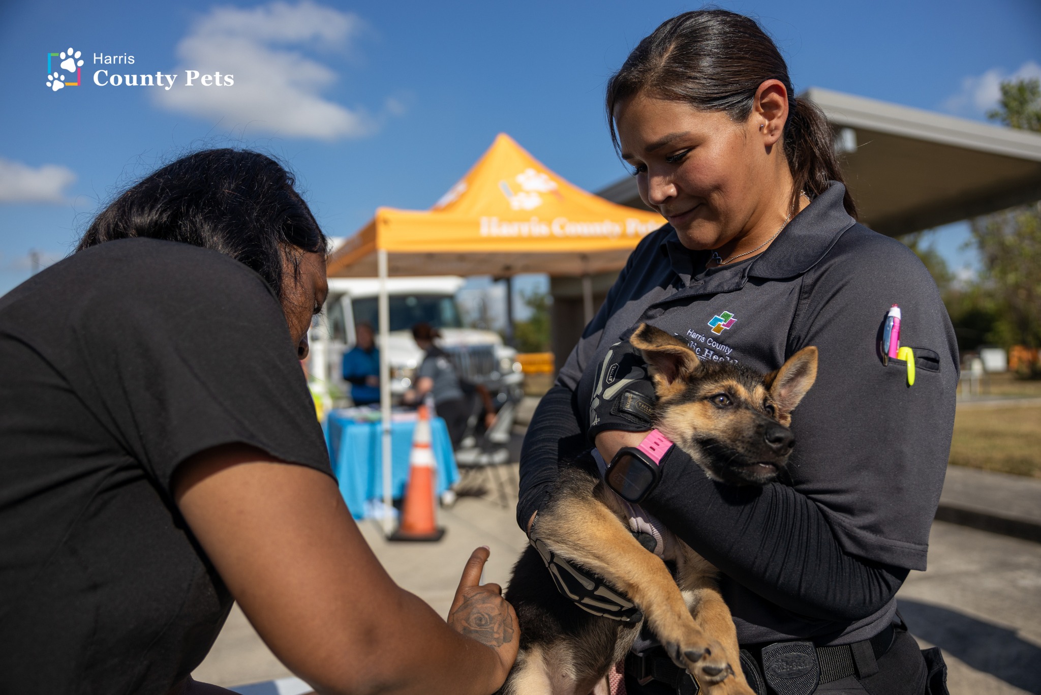 Harris County Pets on Wheels Rolls Into Matzke Park Near Cypress with Low-Cost Vet Care for Dogs This April
