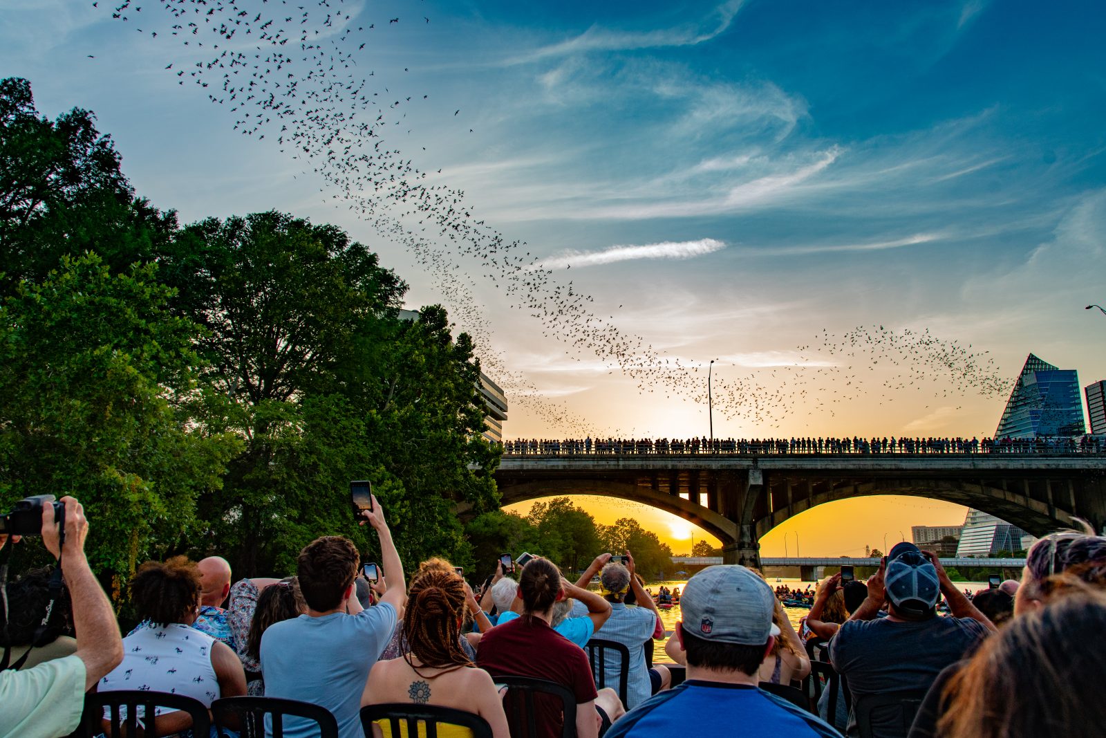 Austin’s Congress Avenue Bat Bridge Gets a New Bat City Experience, Bringing Visitors Closer to the Story Behind the Colony