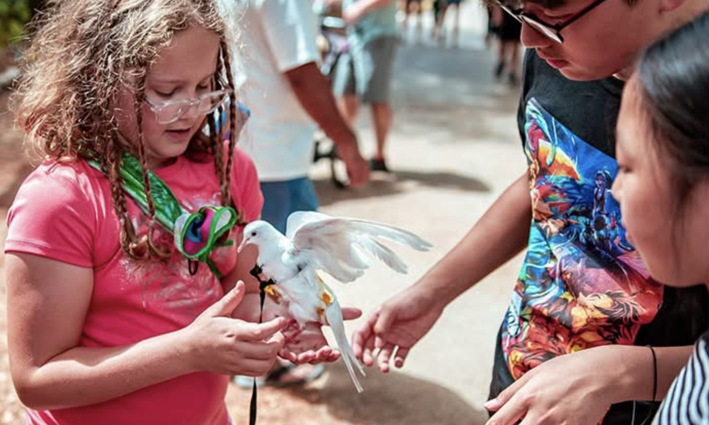 Kleb Woods Hummingbird Festival Returns Sept. 12 With Bird Banding, Raptors and Family Nature Activities