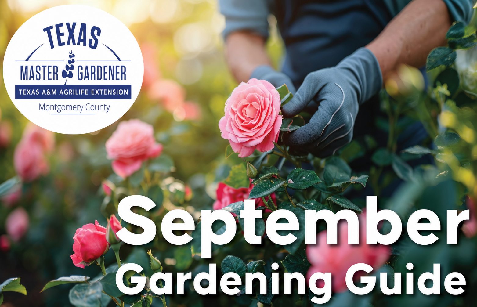 September Gardening Guide for Cielo: Tips from the Montgomery County Master Gardeners
