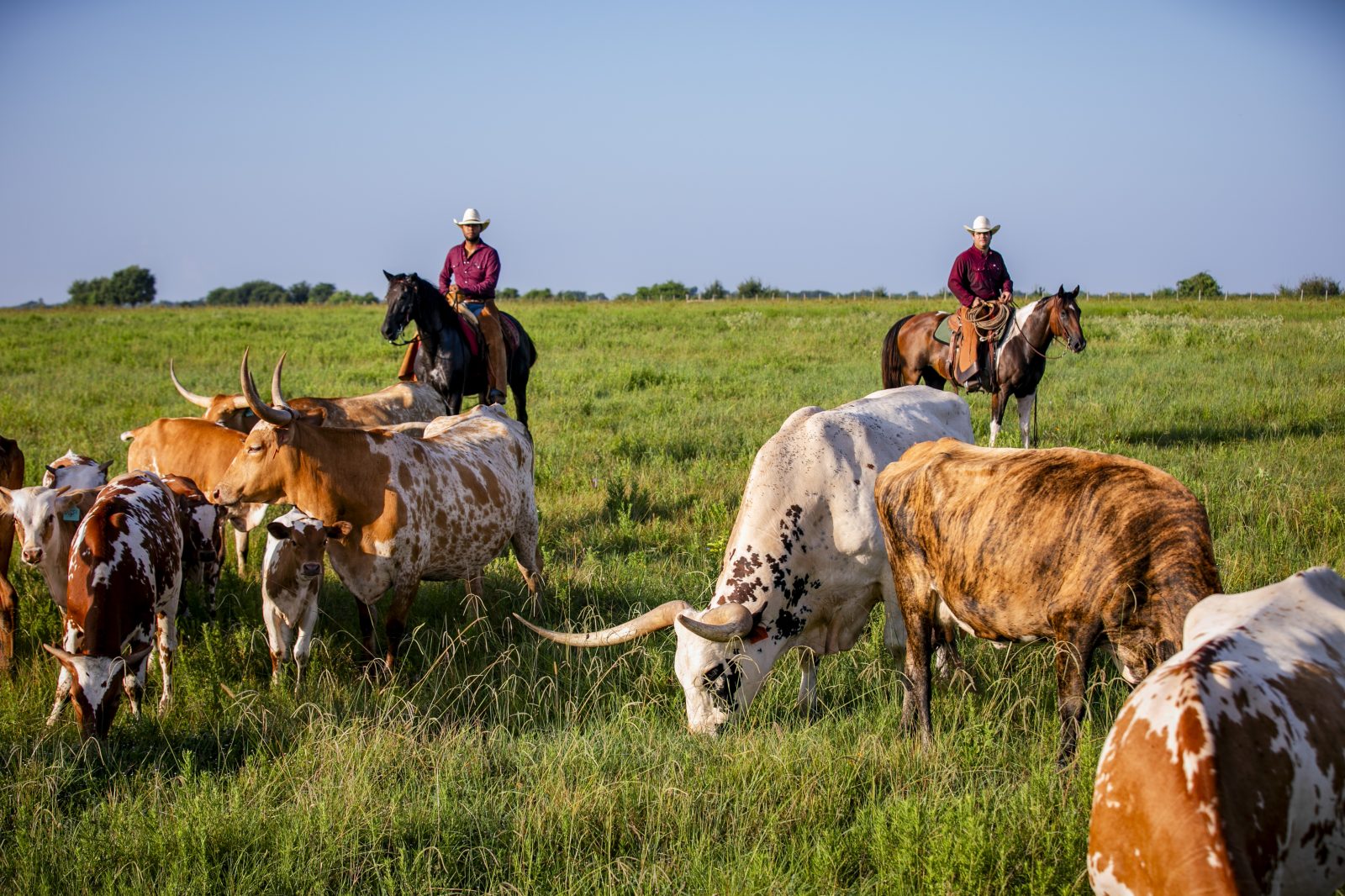 The George Ranch to Lead Fort Bend County Fair’s 90th Anniversary Parade as 2026 Grand Marshal