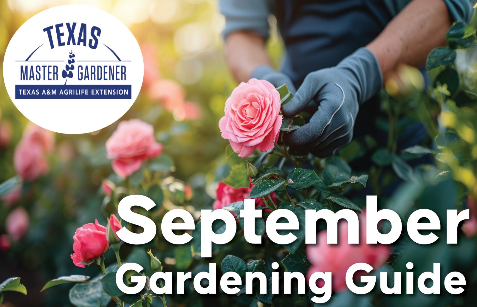 September Gardening in Rosewood Atascosa Estates: What to Plant, Prune and Prepare for Fall