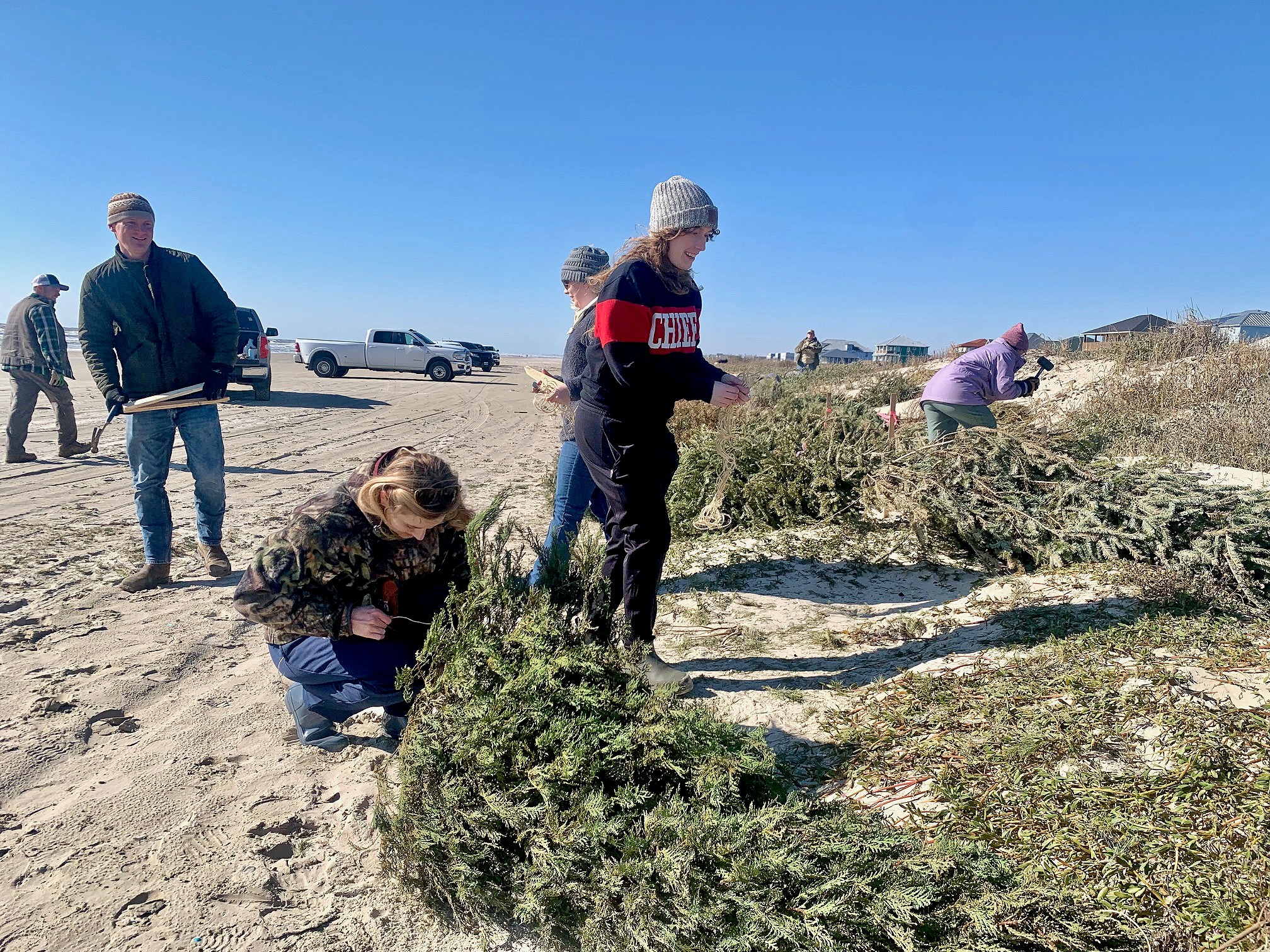 Greater Houston Area Invited to Dunes Day on Jan. 24: Volunteer and Donate Trees to Help Protect Coastline and Inland Communities