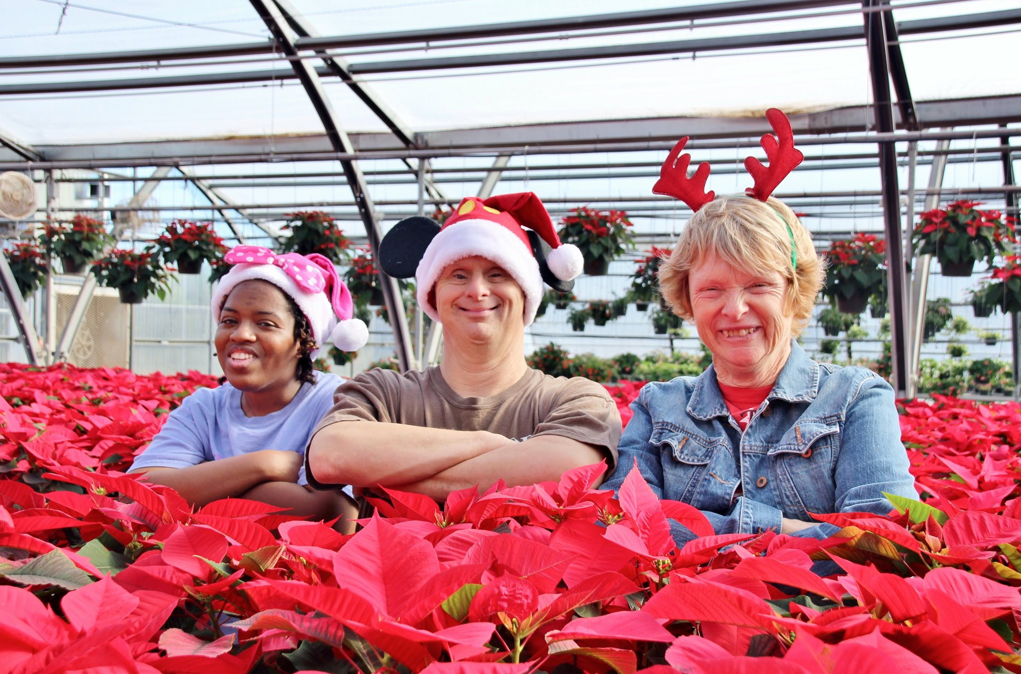 Brookwood Community’s Holiday Poinsettias Bring Color, Purpose, and Joy to the Season