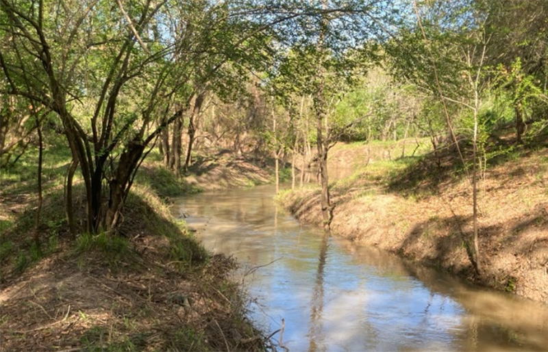 Major Flood Mitigation Project Set to Begin on T.C. Jester Stormwater Detention Basin in Cypress Creek Area