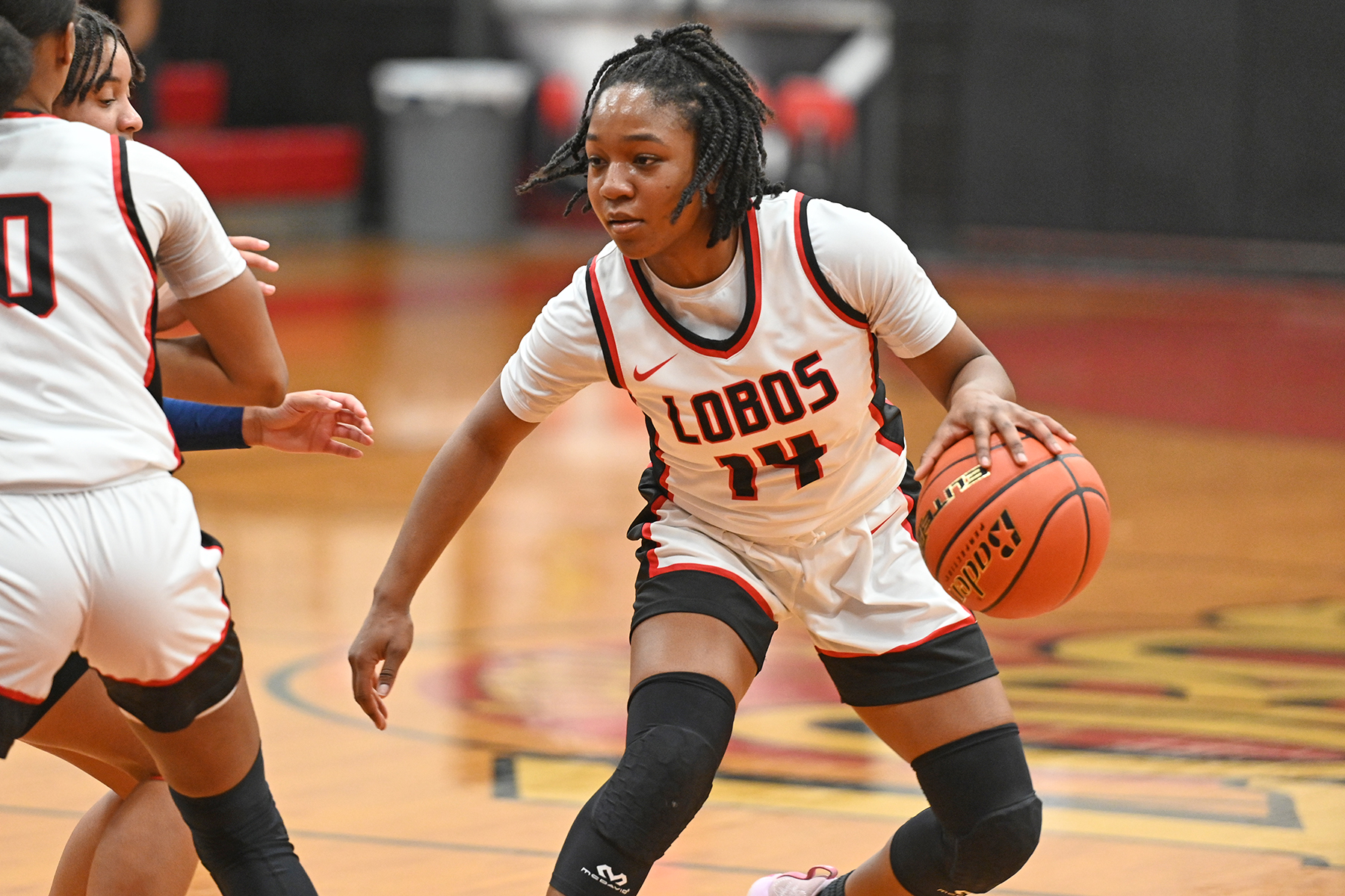Girls' Basketball Playoffs Continue for Six CFISD Teams in Area Round