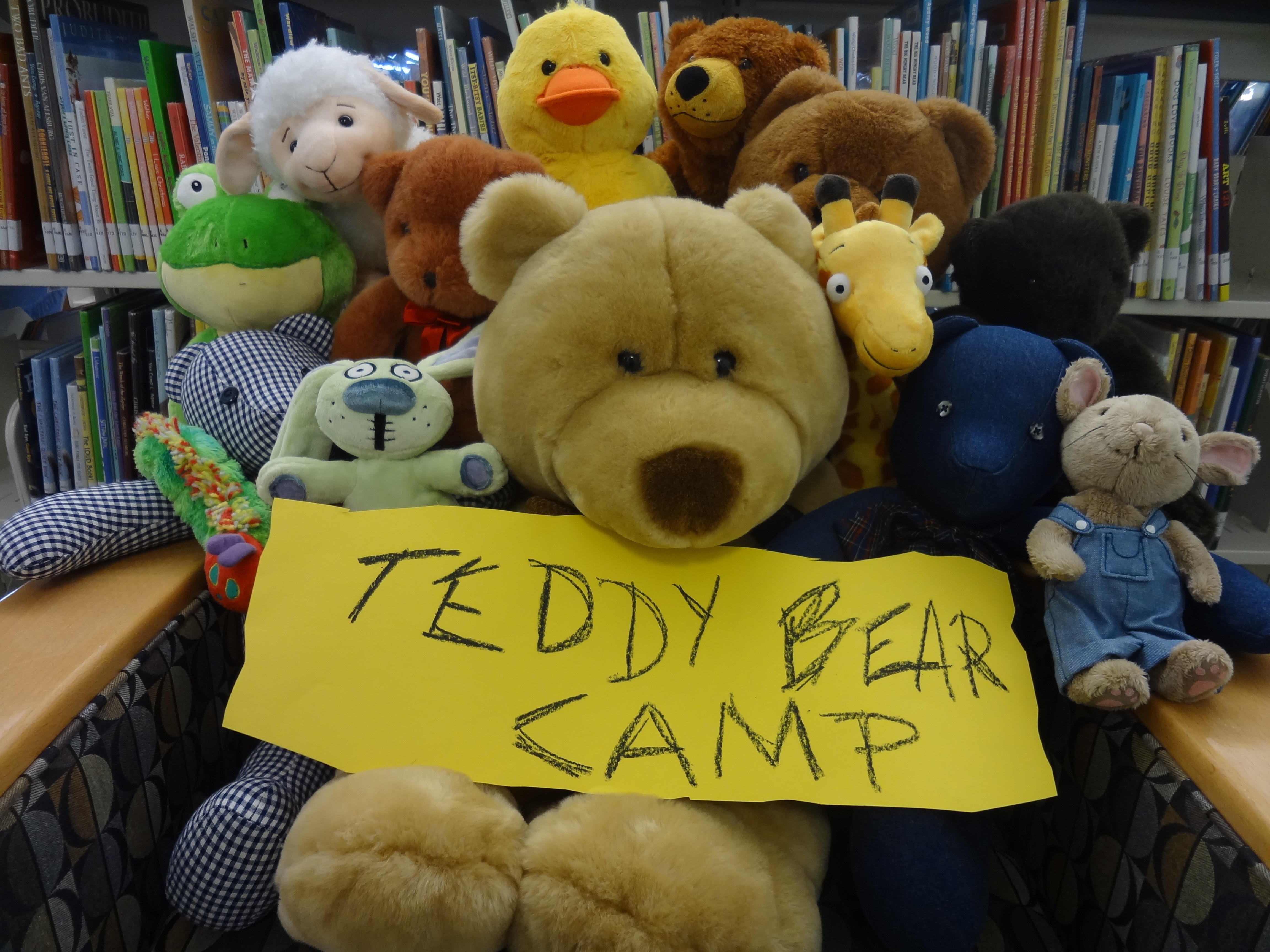 Local Libraries Plan Special Children’s Activities for Spring Break