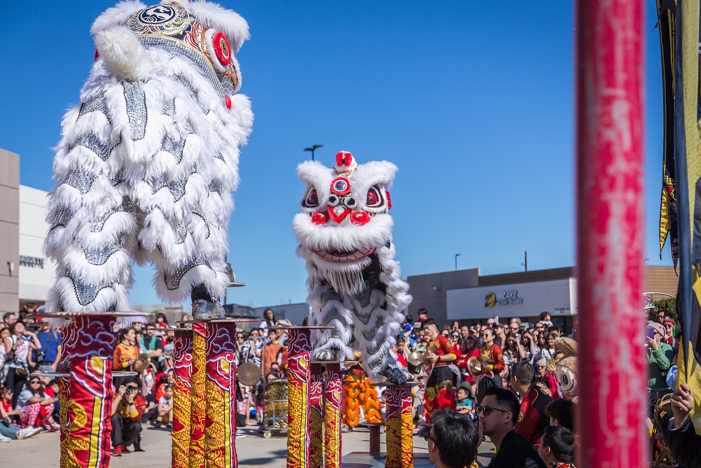 Lunar New Year 2026 in Katy: Fire Horse Festivals, Lion Dances and Community Celebrations Across Greater Houston