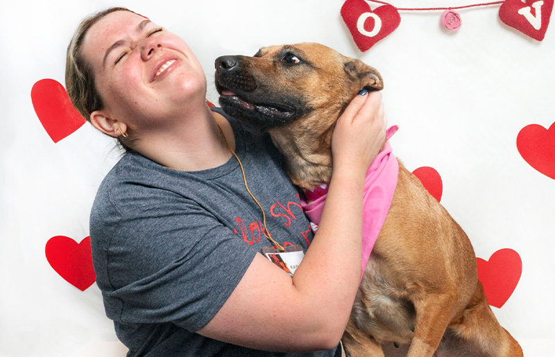 Austin Animal Services Valentine’s Adoption Event: $14 Pet Adoptions and 'Pawlentine' Matchmaking Feb. 13–15