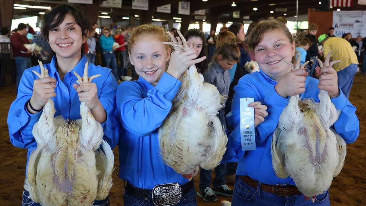 Permanent Home for Harris County Fair & Rodeo Moves Forward in Tomball with New Arena Filings on Telge Road