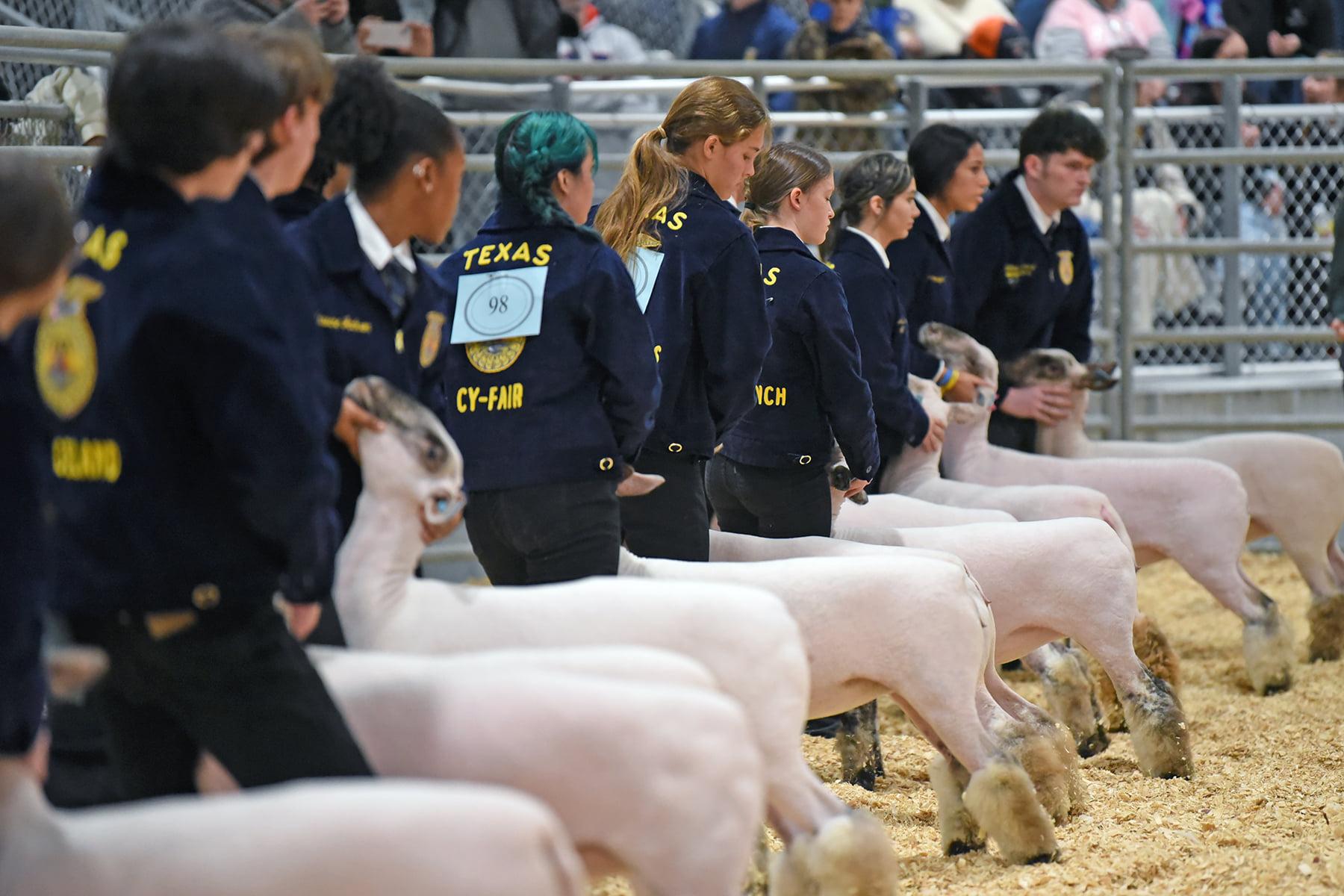 CFISD 30th Annual Livestock Show and Sale Kicks Off January 31