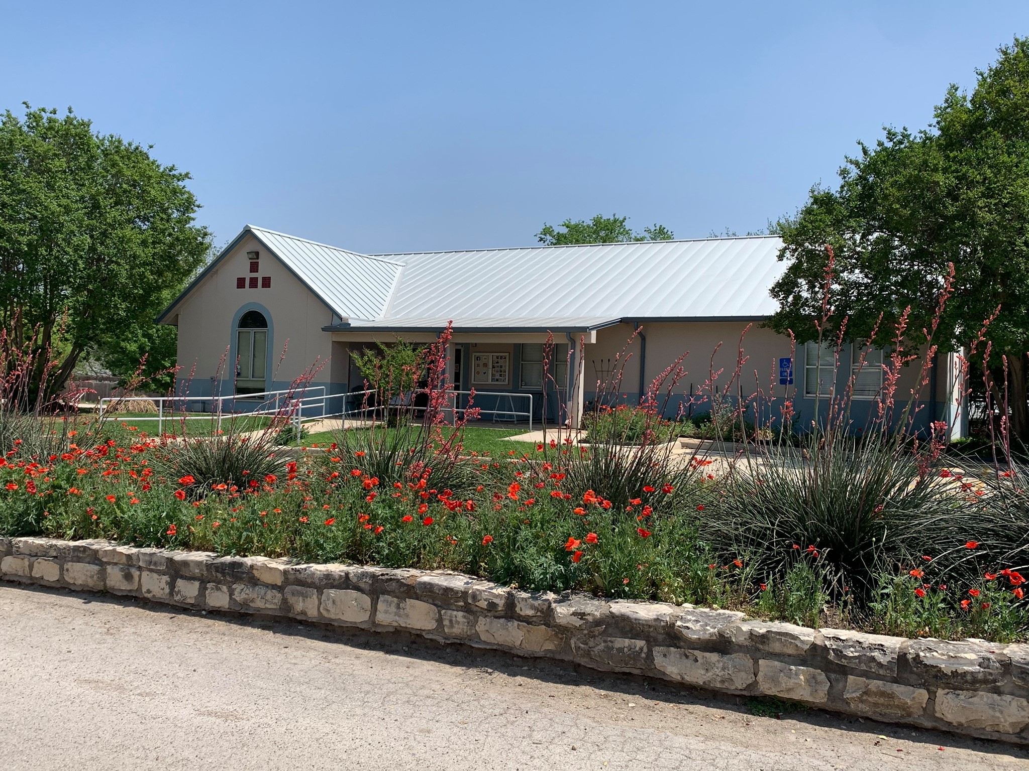 Castroville Public Library Brings February to Life with Events, Classes, and Community Support
