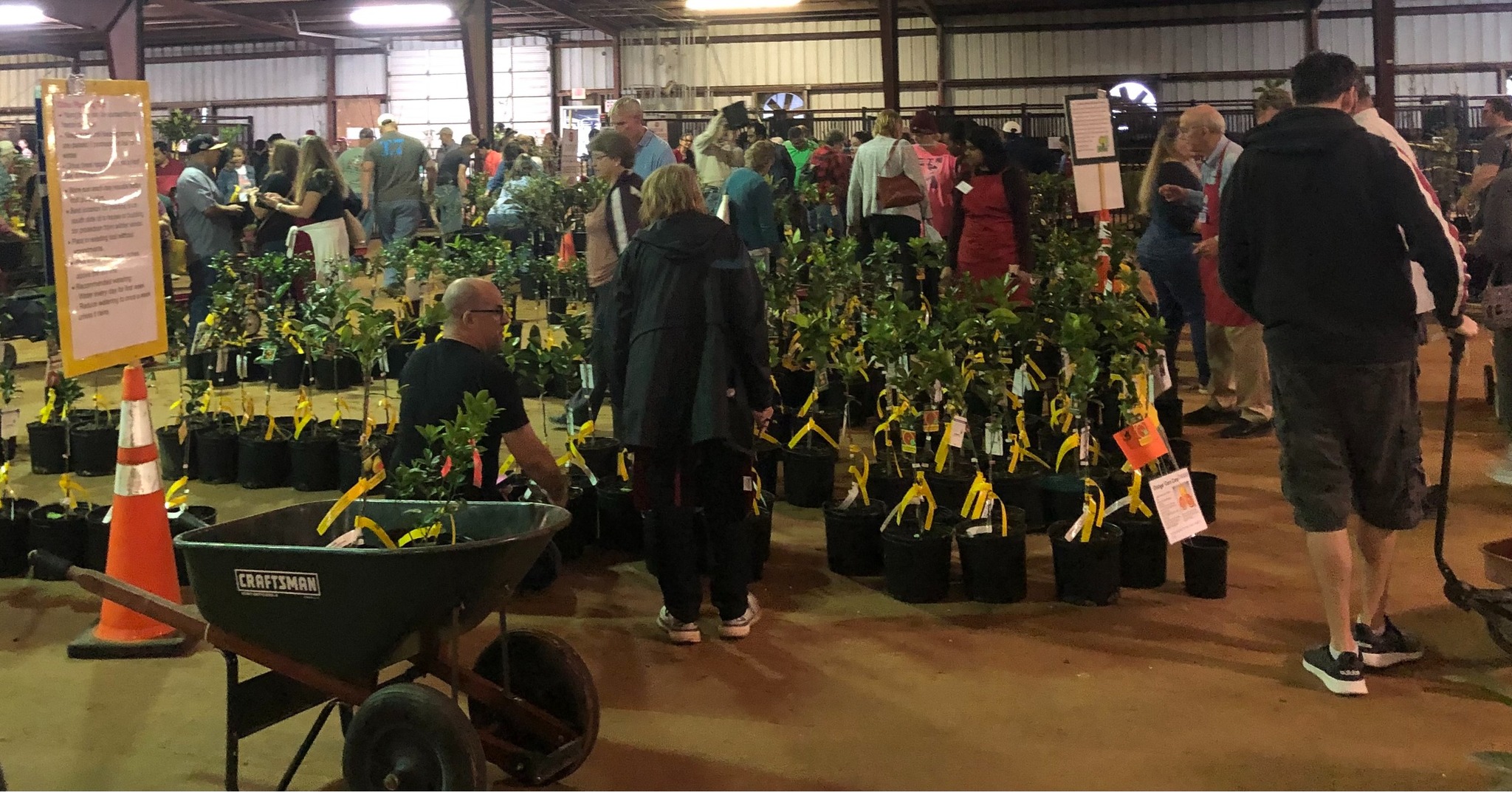 Fort Bend County’s Annual Fruit & Citrus Tree Sale Returns Just in Time for Valentine’s Day