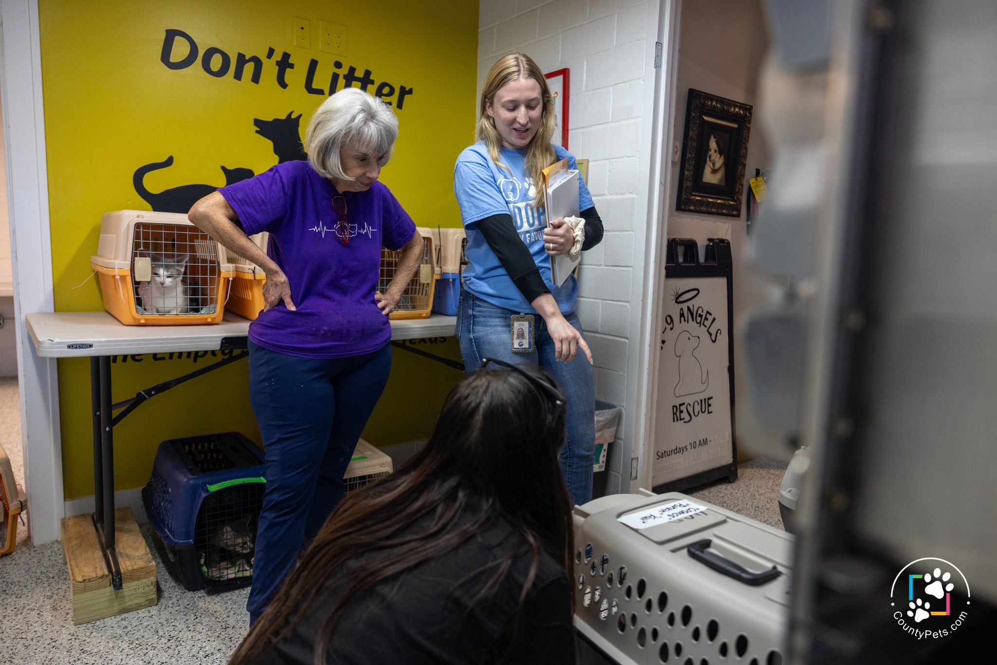 Harris County Pets Offers Low-Cost Spay and Neuter Services This February to Curb Pet Overpopulation