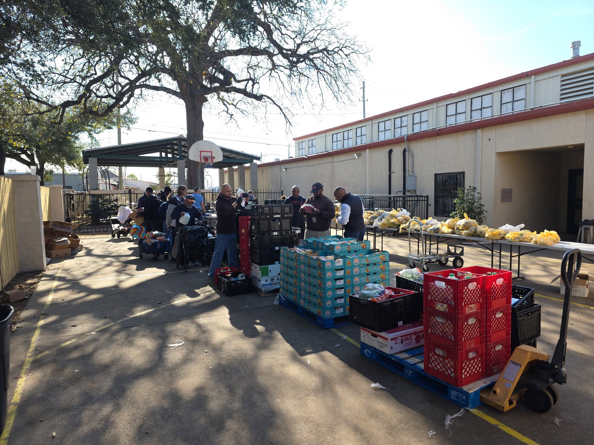 Houston-Area SNAP Enrollment Falls 18% as Food Pantries See Growing Demand