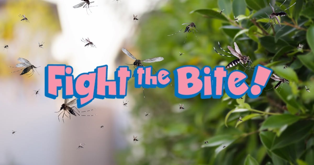 Travis County Urges Residents to 'Fight the Bite' as Mosquito Season Intensifies