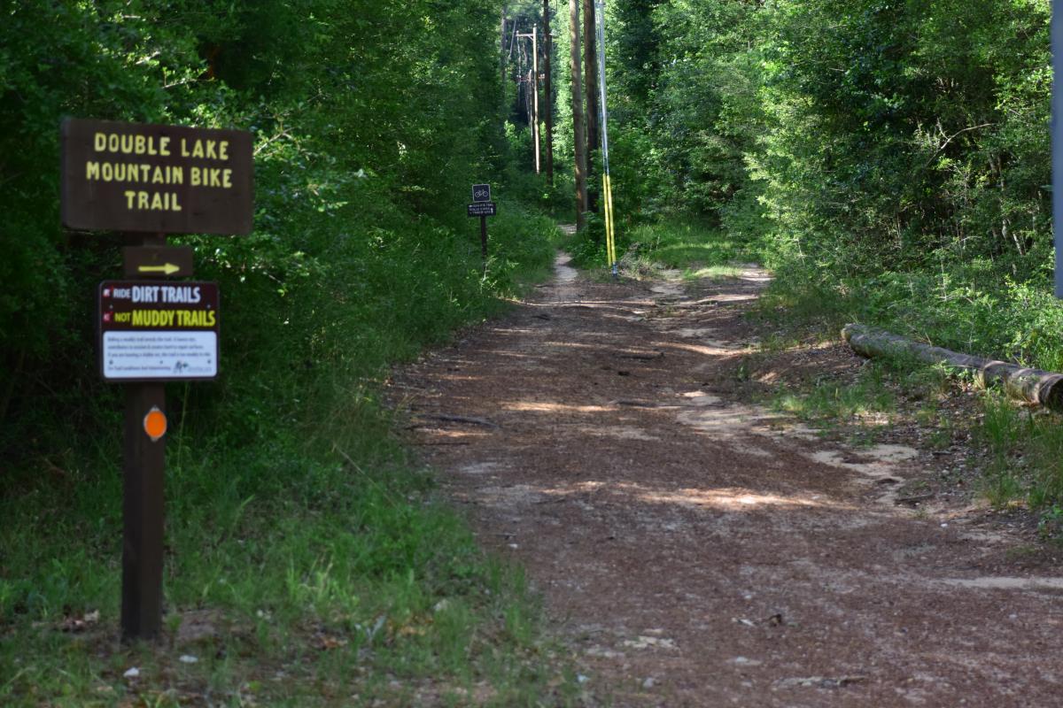 Sam Houston National Forest Offers an Easy Outdoor Escape Near Granger Pines