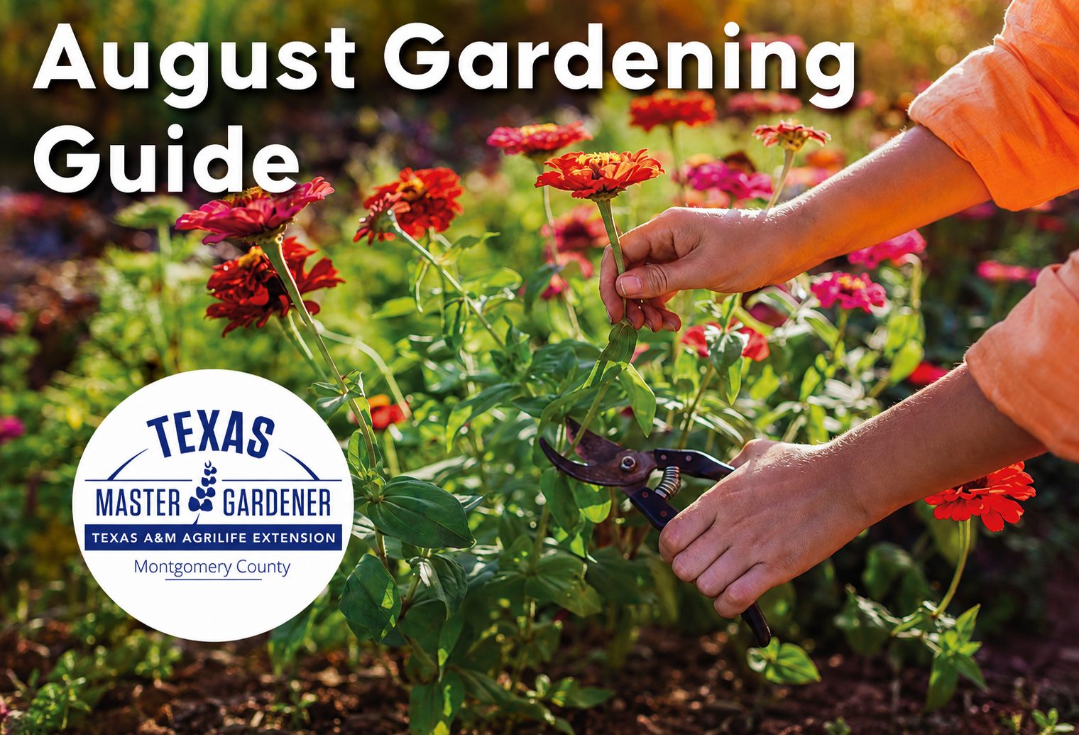 August Gardening Checklist for Chapel Run: Montgomery County Tips for a Healthier Yard