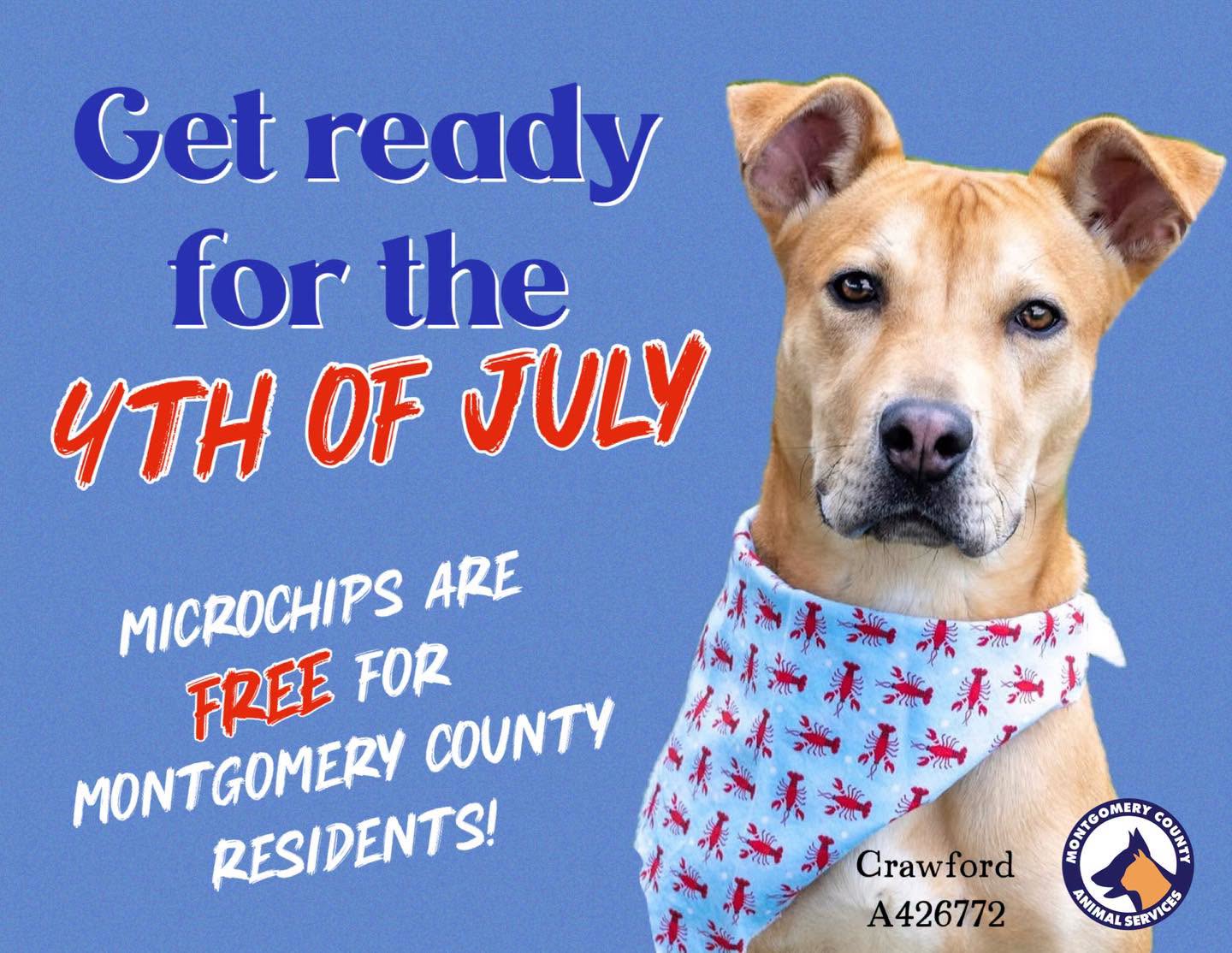 Keep Magnolia Springs Pets Safe This Fourth of July: Montgomery County Offers Free Microchips as Fireworks Season Arrives