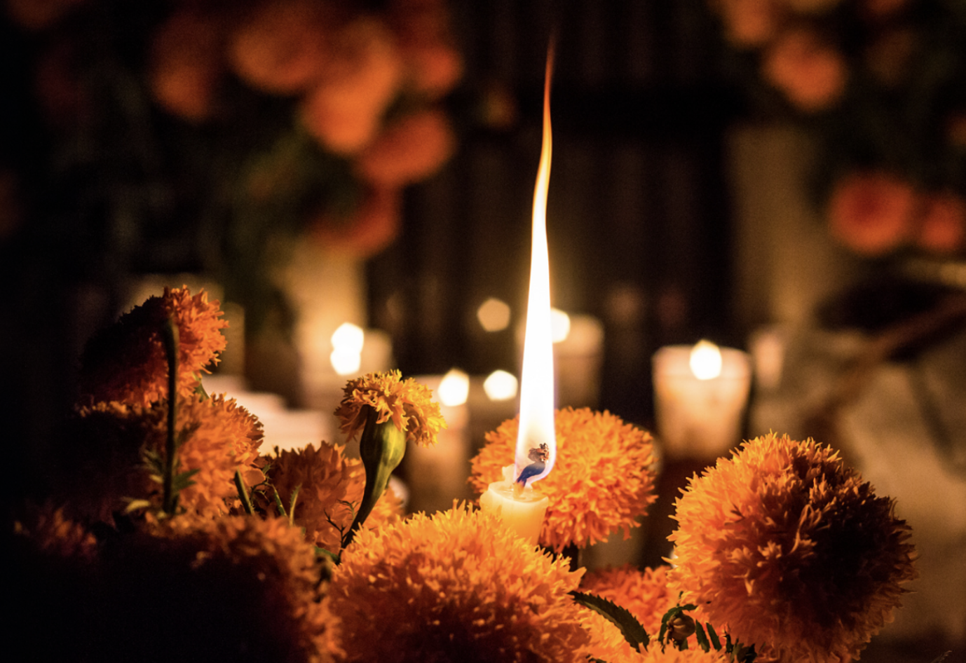 Austin Opera to Debut First-Ever Commissioned Opera, Ofrenda, as New Butler Performance Center Opens in Austin