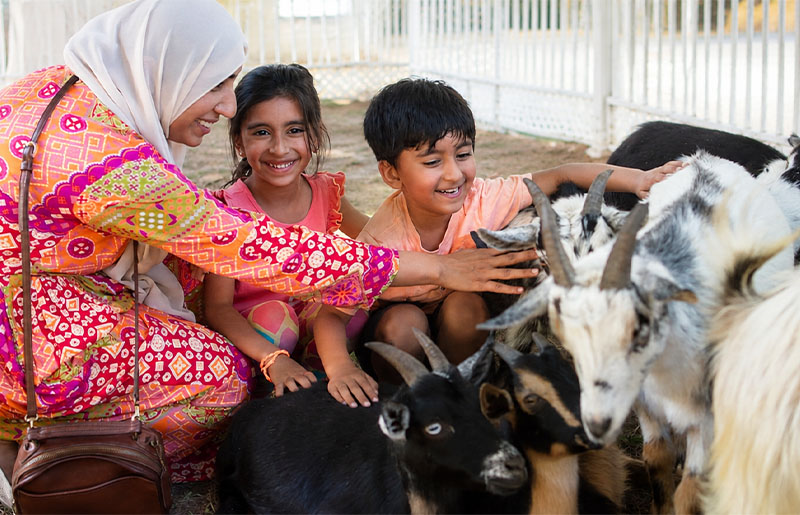 Animal Encounters, Family Fun and Pet Adoptions Coming to Collins Park in Spring This June