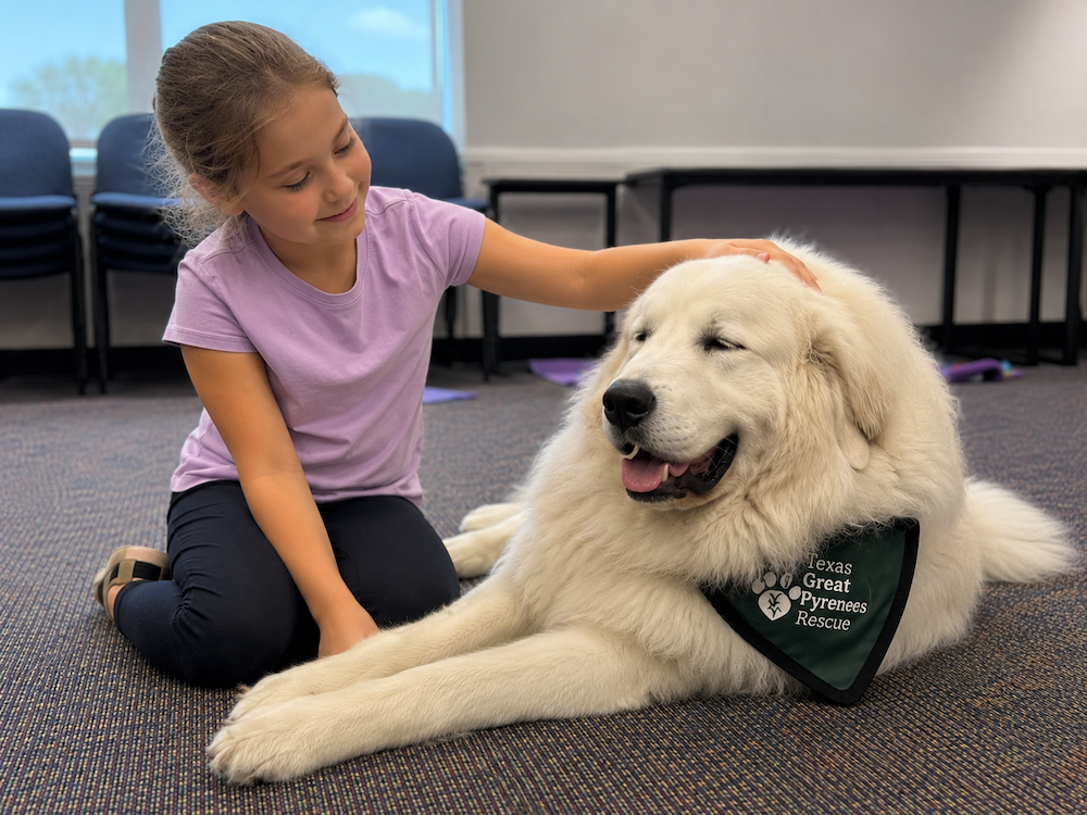 Dog Days of Summer Returns to Lone Star College-CyFair Library with Family Fun, Crafts and Dog Adoption Events This July