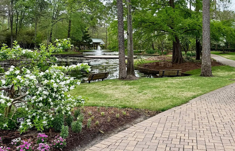 Discover 400 Acres of Nature Near Spring: Why Summer Is the Perfect Time to Explore Mercer Arboretum & Botanic Gardens
