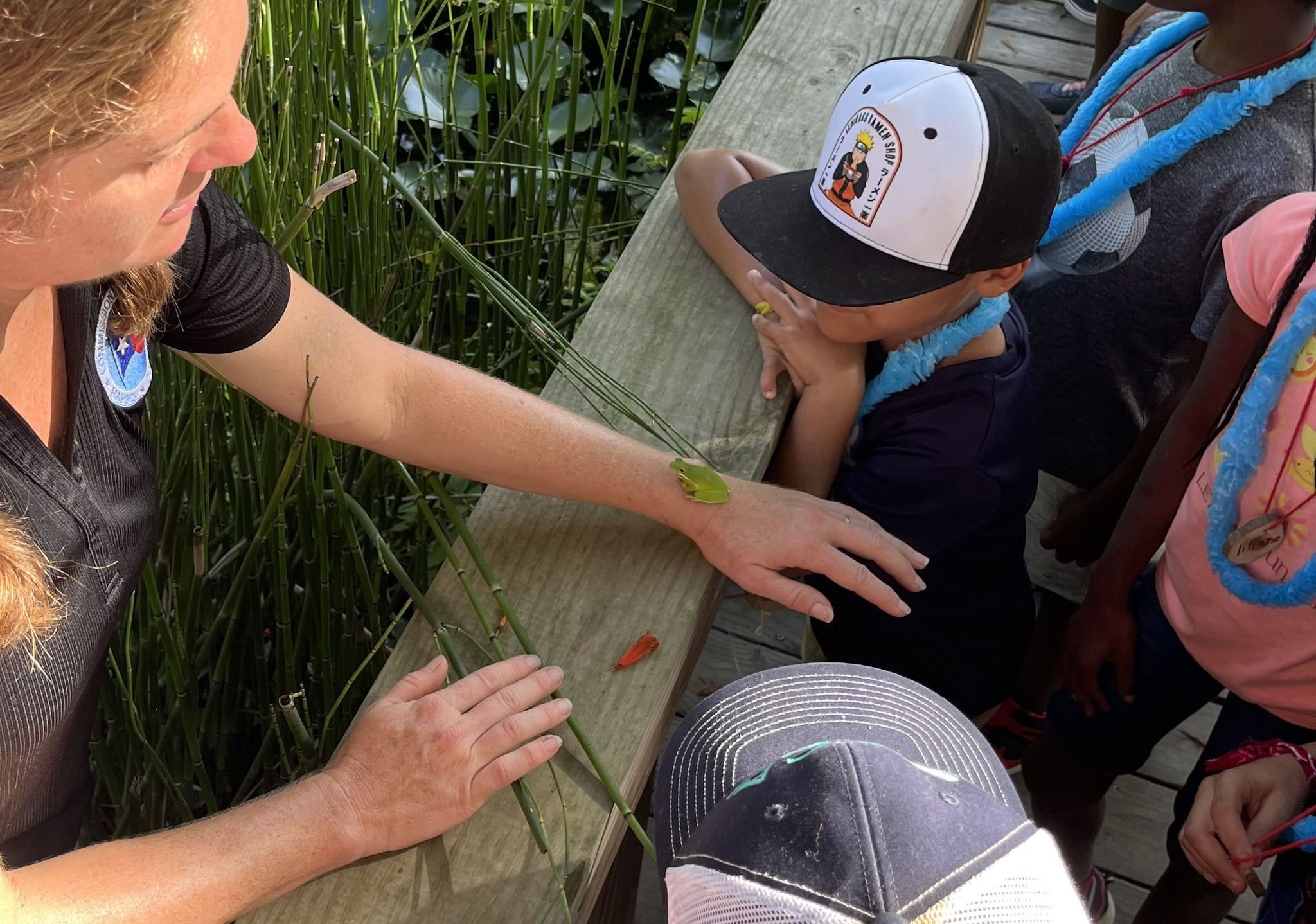 Spring Break 2026: Harris County Precinct 3 Hosting Family Events, Nature Programs, Campout and Movie Night Across Local Parks