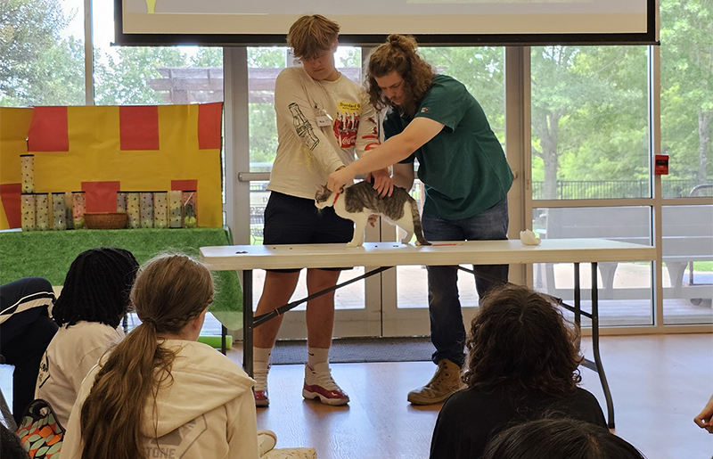 CAP Summer Camps 2026 Bring Hands-On Animal Learning and Compassion to Houston-Area Families
