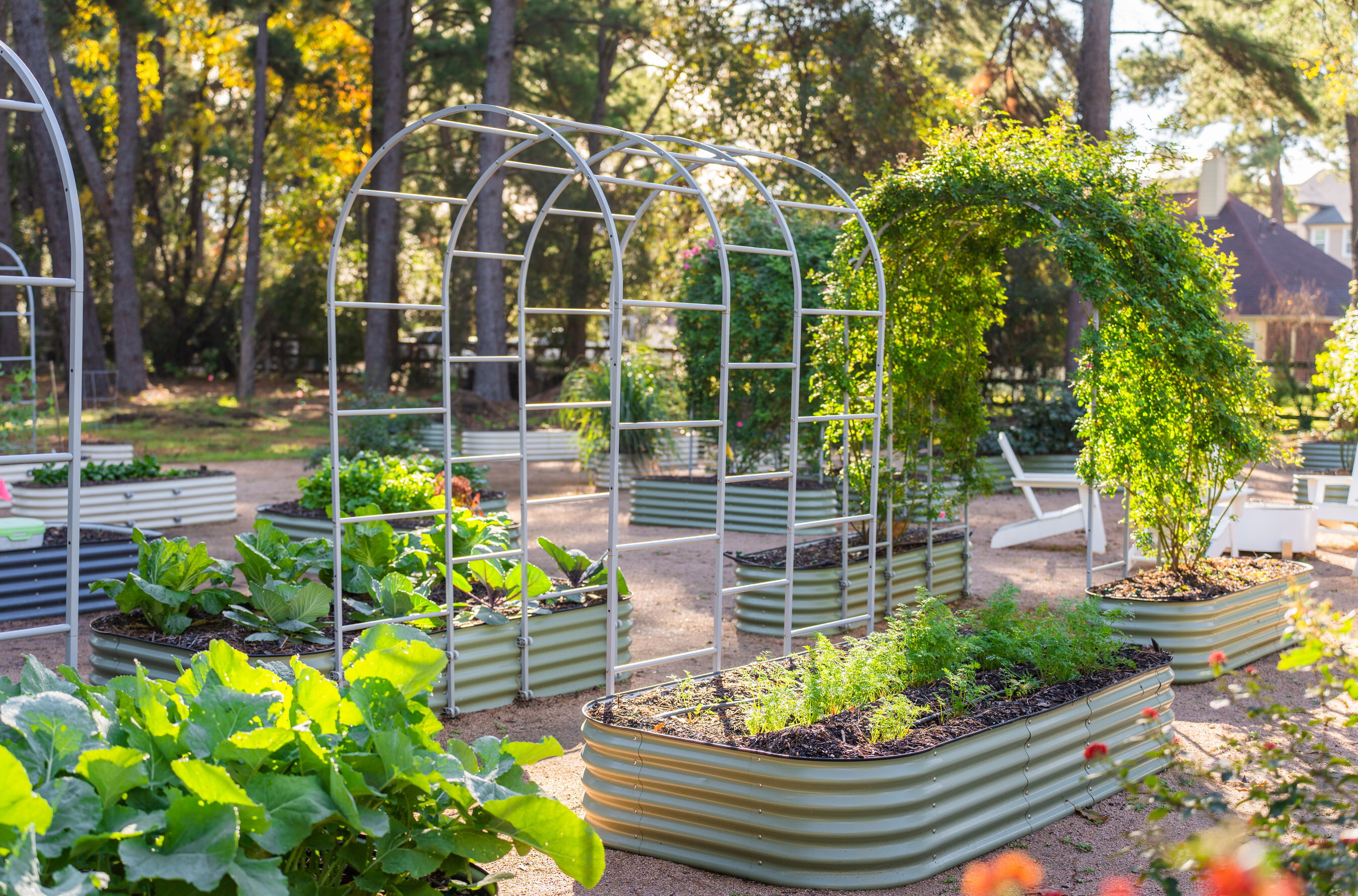 Tomball-Based Vego Garden Encourages Spring Garden Planning with Ecosystem Approach to Growing at Home