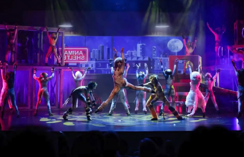 CFISD Theatre Programs Earn Statewide Recognition for Third Straight Year