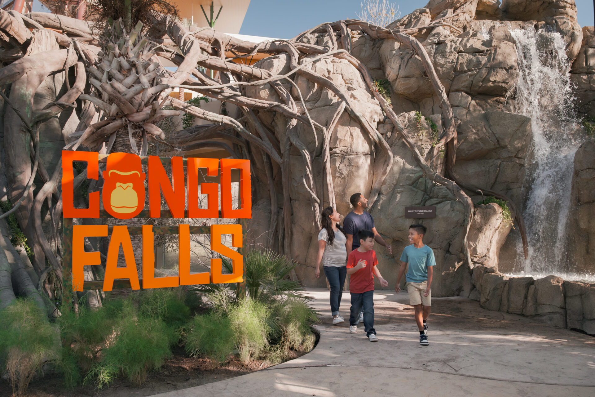 San Antonio Zoo’s Congo Falls Opens, Bringing Gorillas Back After 35 Years in a Landmark Conservation Experience