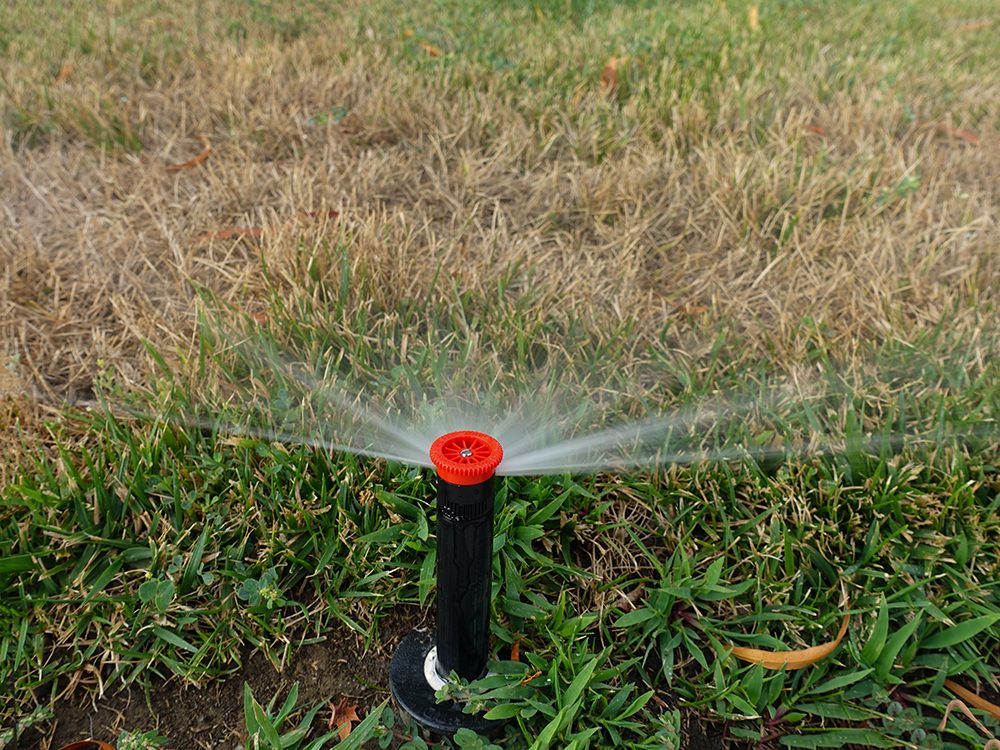 Texas Drought, HOA Lawn Rules, and HB 517: What Homeowners Need to Know for Spring and Summer 2026