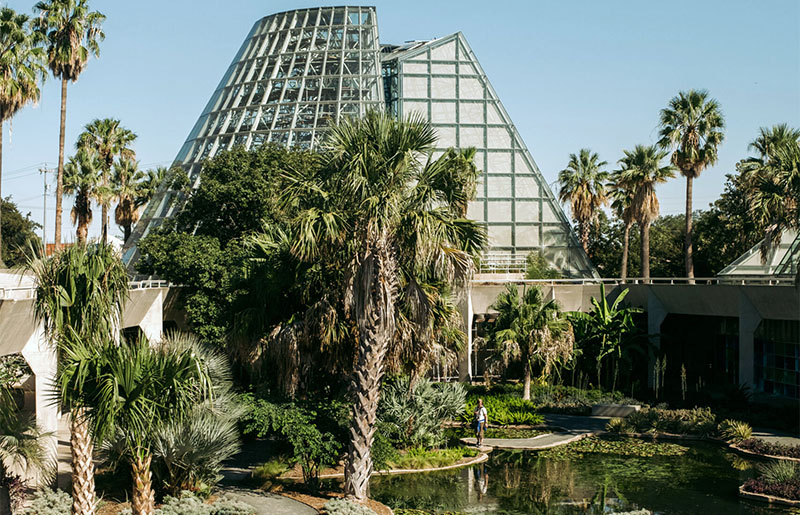 San Antonio Botanical Garden Conservatory Renovation Signals Continued Investment in Community Green Space and Education