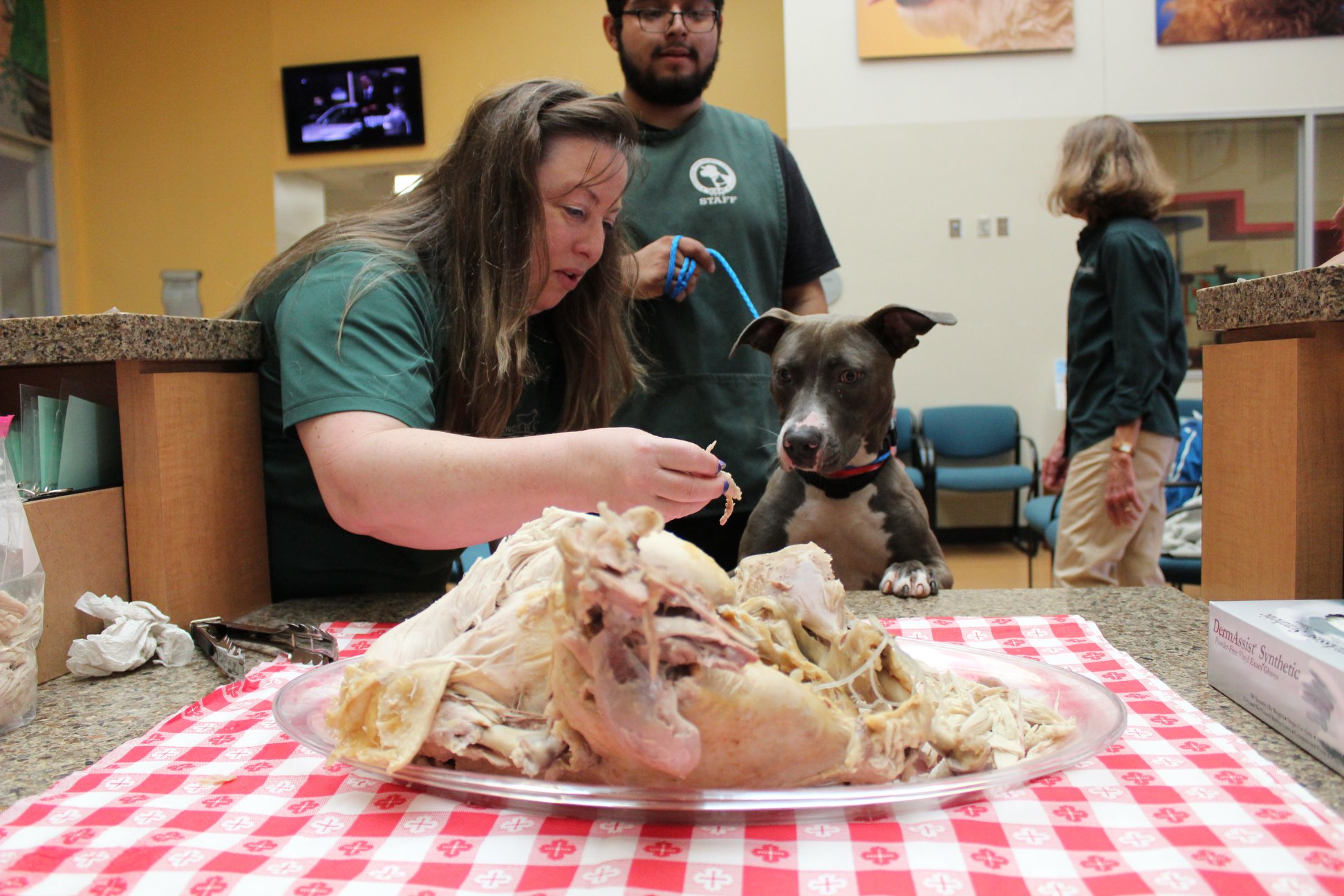 Turkey Day at Citizens for Animal Protection Brings Comfort and Hope to Houston’s Homeless Pets