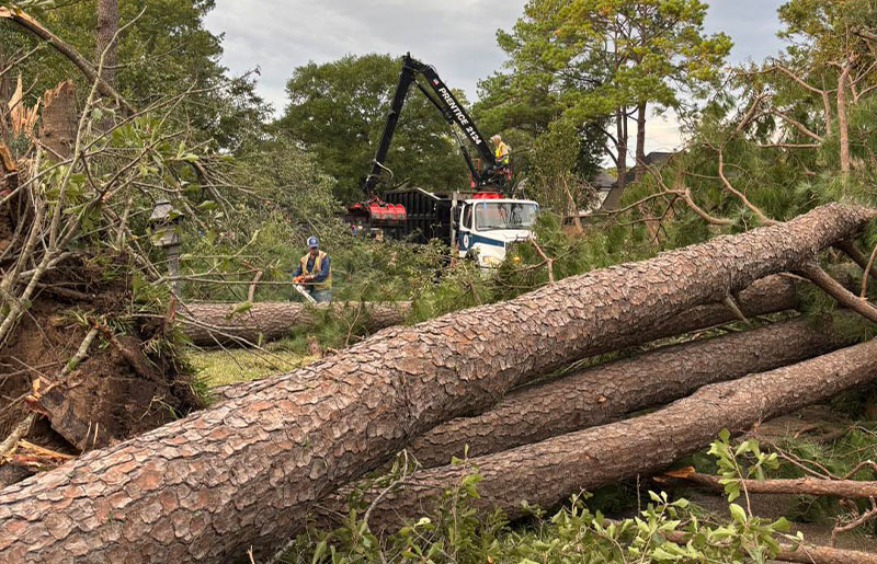 Tornado Recovery Resources Available for Greater Houston Area Residents Impacted by November 24 Storms