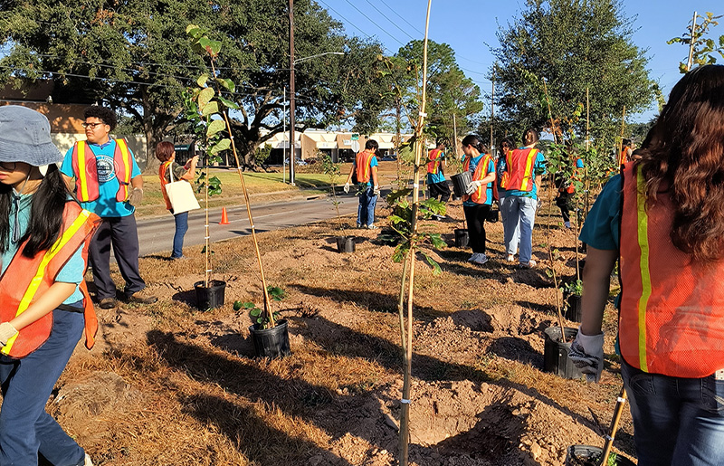 First Tree-Planting Event at Fry Road Detention Basin Unites Community for Greener Future in Katy North