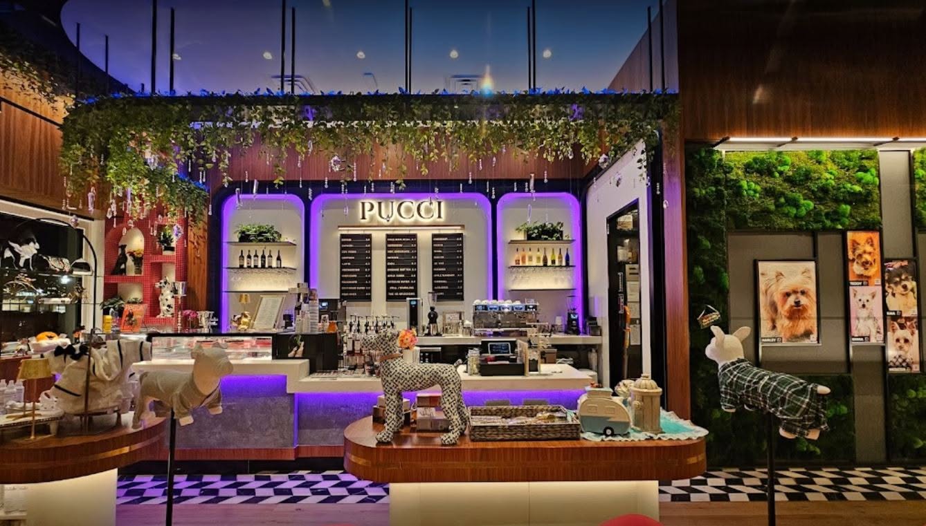 PUCCI Café to Close at LaCenterra in Cinco Ranch on October 31 After Four Years in Katy